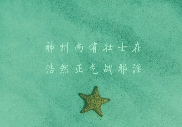 1岁疯狂纵欲，夜夜做新郎，最终后悔不已