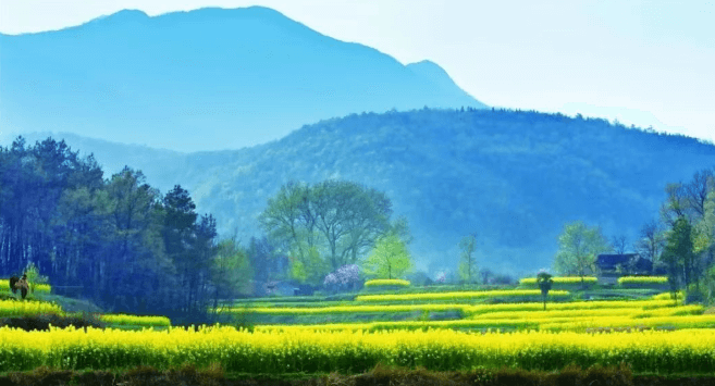 真正戒掉的人，都在坚持这件事！戒色 不硬扛  学习 破戒自责 不要堕胎 精力充沛 戒色不是压抑 是积蓄能量