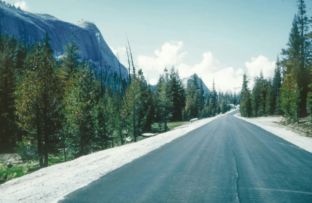 戒色205天的经验分享 戒色经验 戒友交流 1990年 沉迷网络 不良视频 消瘦，脸部小斑点变多，脸色变暗。心理上也有轻微的抑郁和焦虑