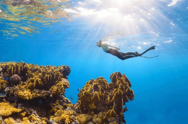 戒色205天的经验分享 戒色经验 戒友交流 1990年 沉迷网络 不良视频 消瘦，脸部小斑点变多，脸色变暗。心理上也有轻微的抑郁和焦虑