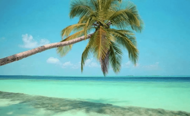 戒色205天的经验分享 戒色经验 戒友交流 1990年 沉迷网络 不良视频 消瘦，脸部小斑点变多，脸色变暗。心理上也有轻微的抑郁和焦虑