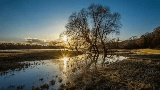 戒色205天的经验分享 戒色经验 戒友交流 1990年 沉迷网络 不良视频 消瘦，脸部小斑点变多，脸色变暗。心理上也有轻微的抑郁和焦虑