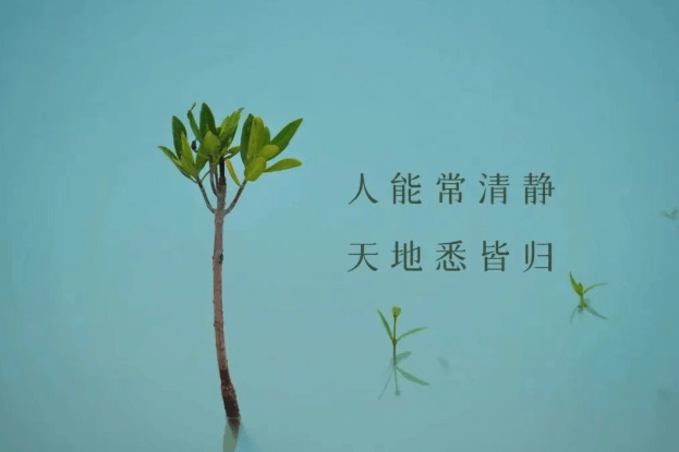 七年戒色路，行之有道！