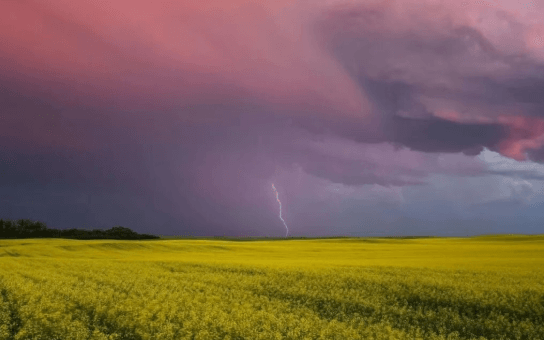 高阶化境-戒色高手必经之路